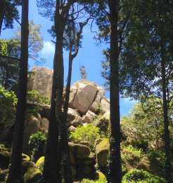 The Park around Pena Castle was beautiful and full of surprises